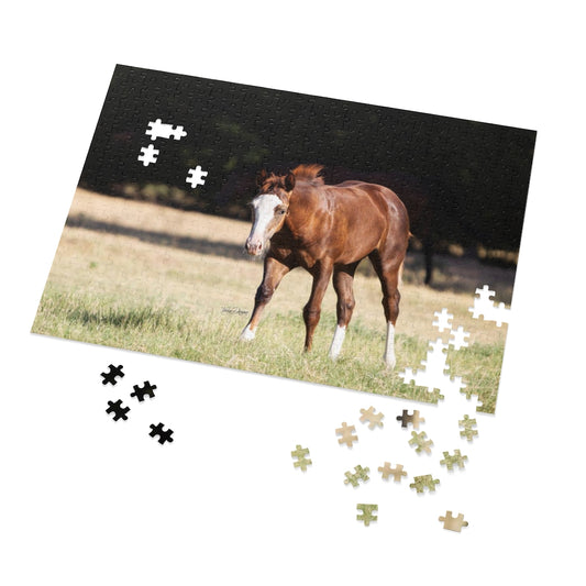 Jigsaw Puzzle (30, 110, 252, 500,1000-Piece)