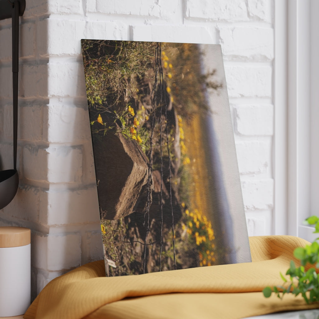 Barbed Wire in the Desert Glass Cutting Board