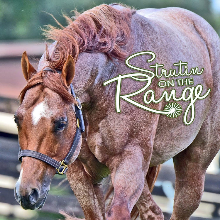 Struttin On The Range